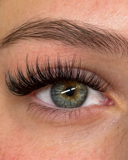 Cils Volume et Méga Volume Noir - Boîtiers 5 à 18mm