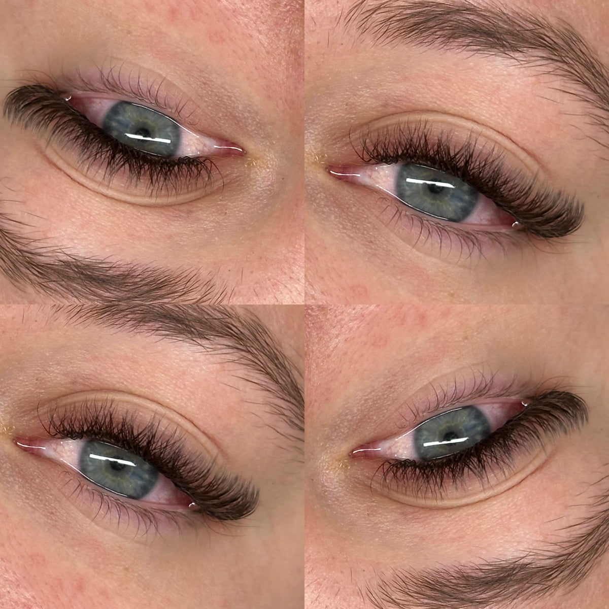 Cils YY Brun Expresso - Boîtiers 6 à 15mm