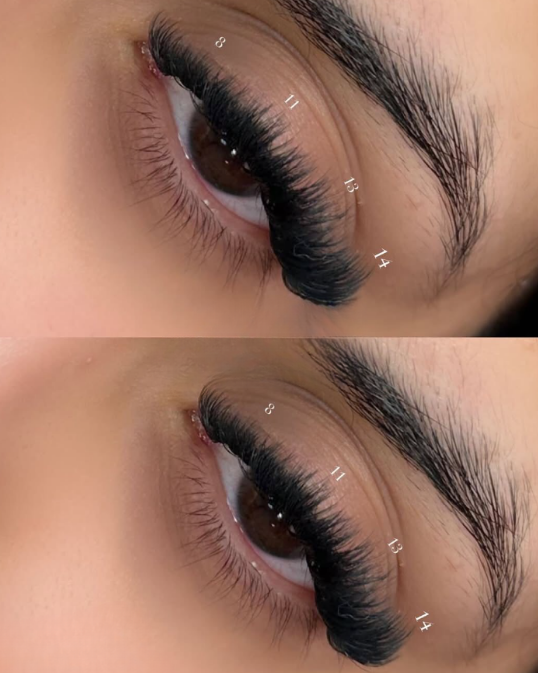 Cils Volume et Méga Volume Noir - Boîtiers 5 à 18mm