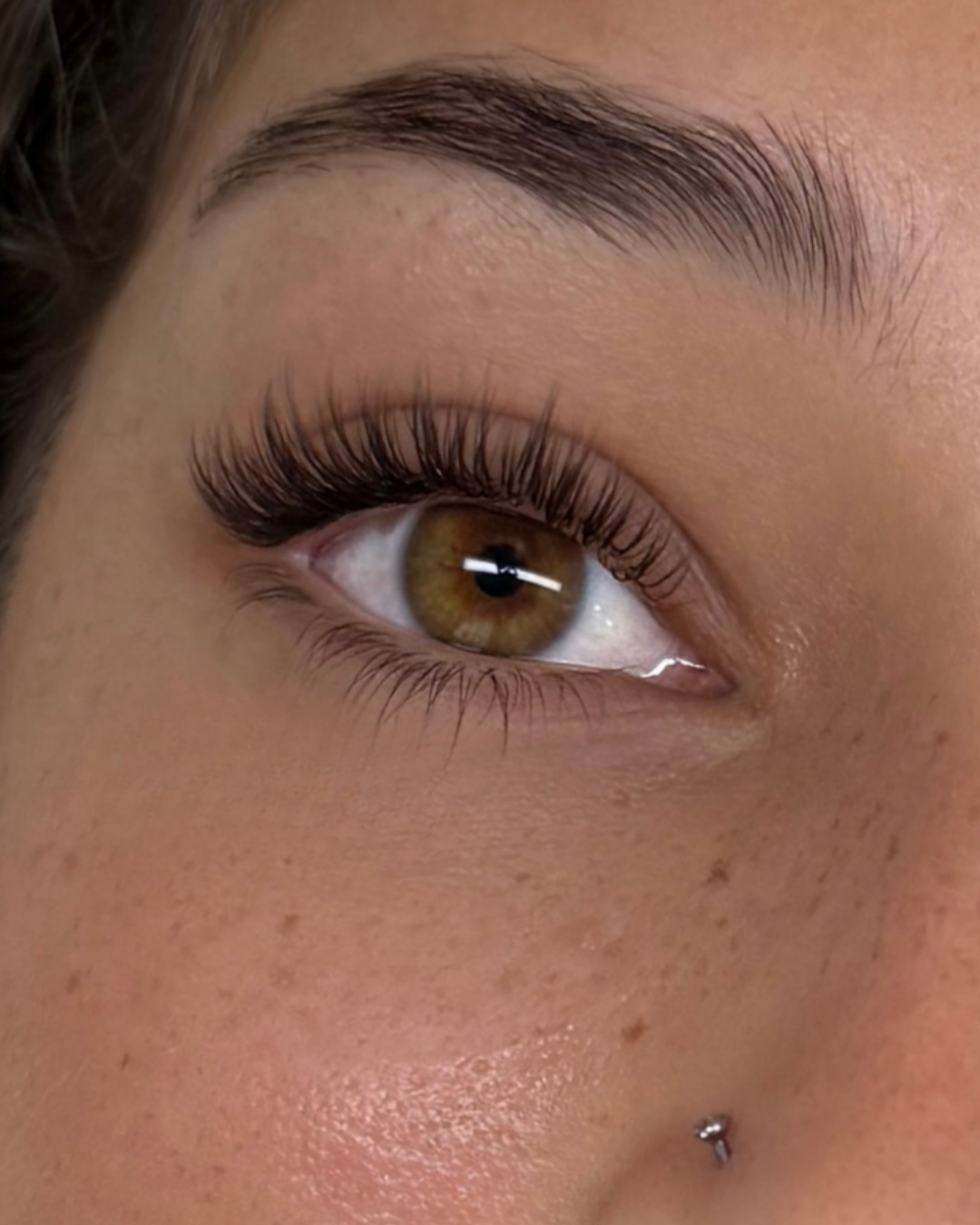 Cils Volume & Méga Volume Brun Noir - Boîtiers 8 à 15mm