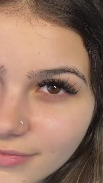 Cils Volume et Méga Volume Noir - Boîtiers 5 à 18mm